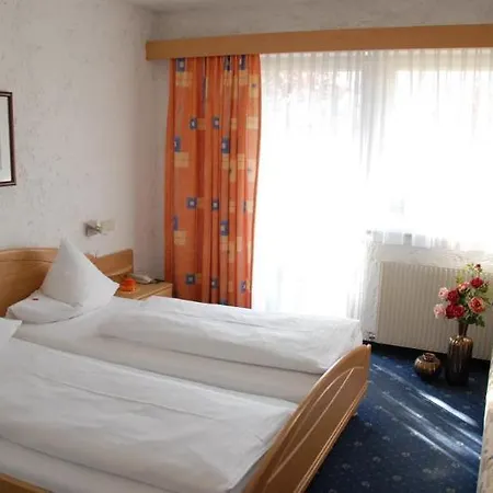 Edelweiss Отель 3*